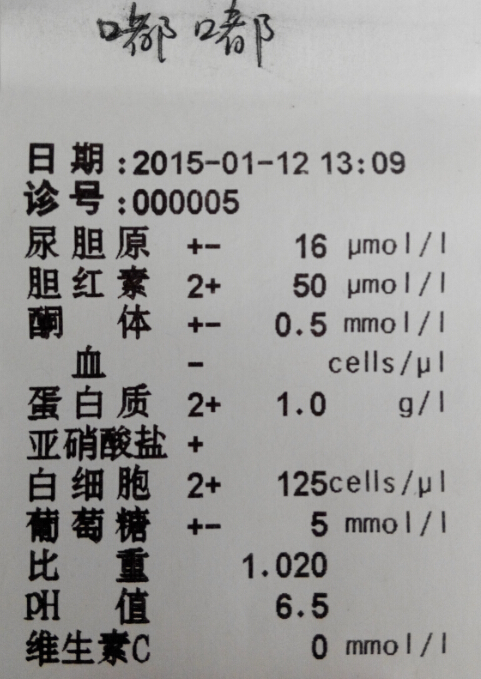 重症犬瘟的治疗2