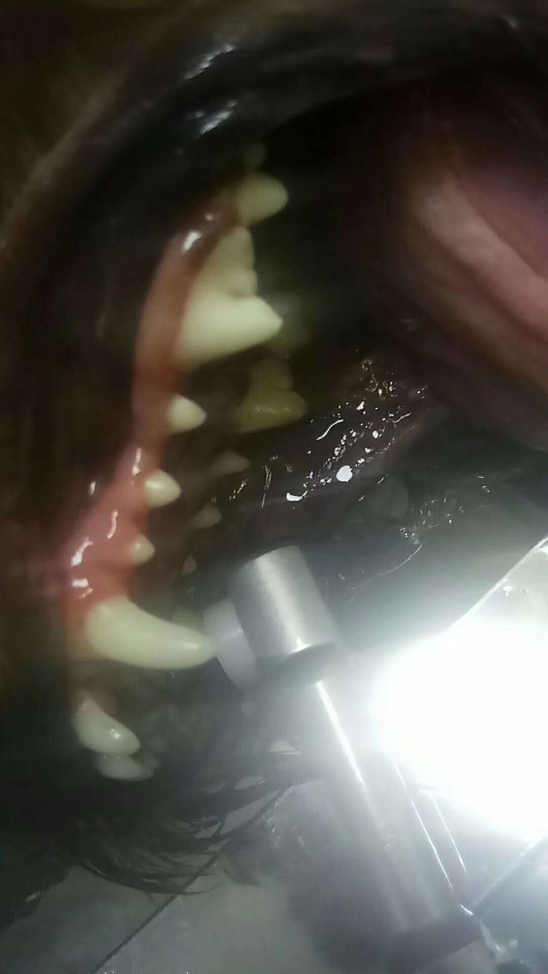微信图片_20180104144739.jpg