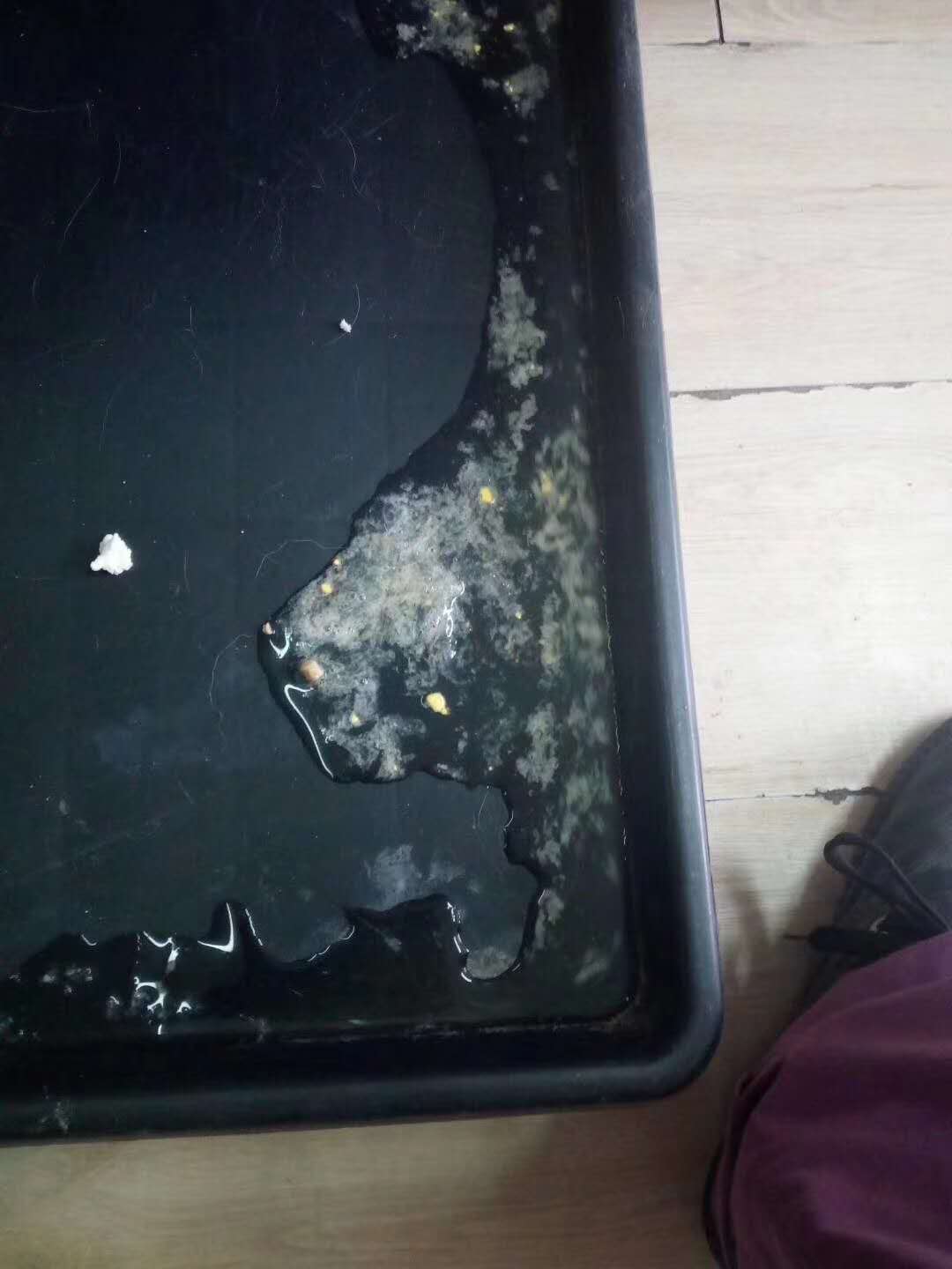 微信图片_20180104154818.jpg