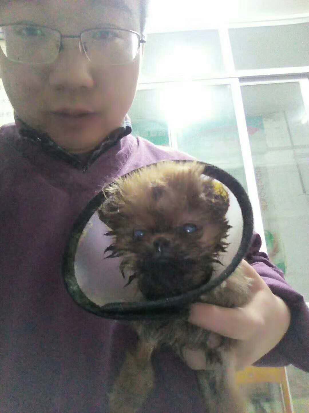 微信图片_20180105155541.jpg