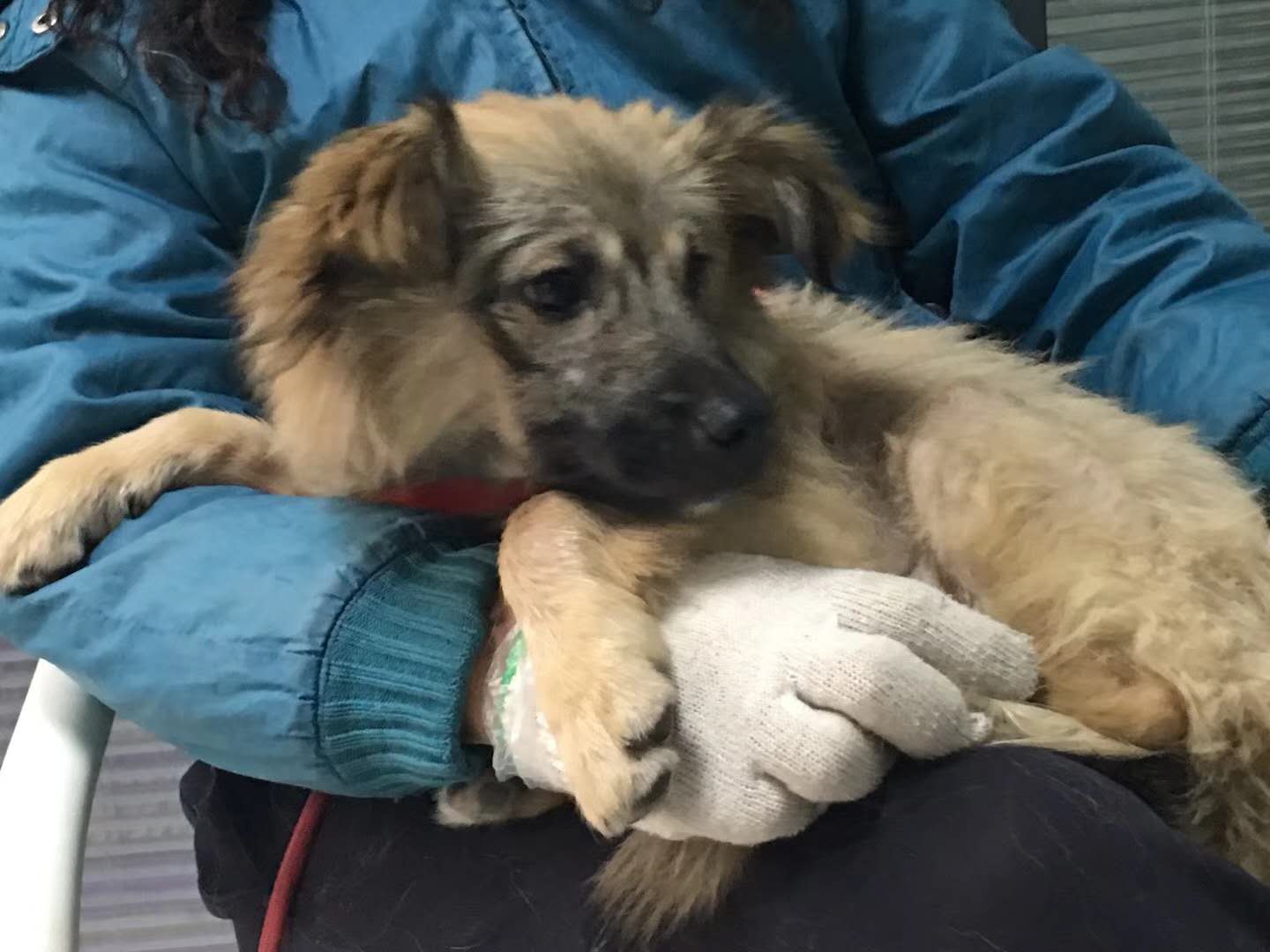 微信图片_20180105160951.jpg