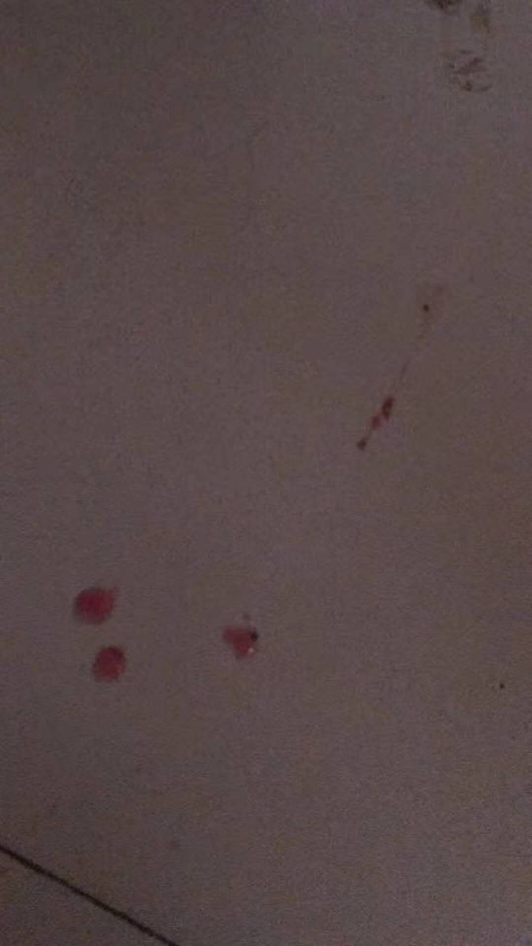 微信图片_20180105162655.jpg