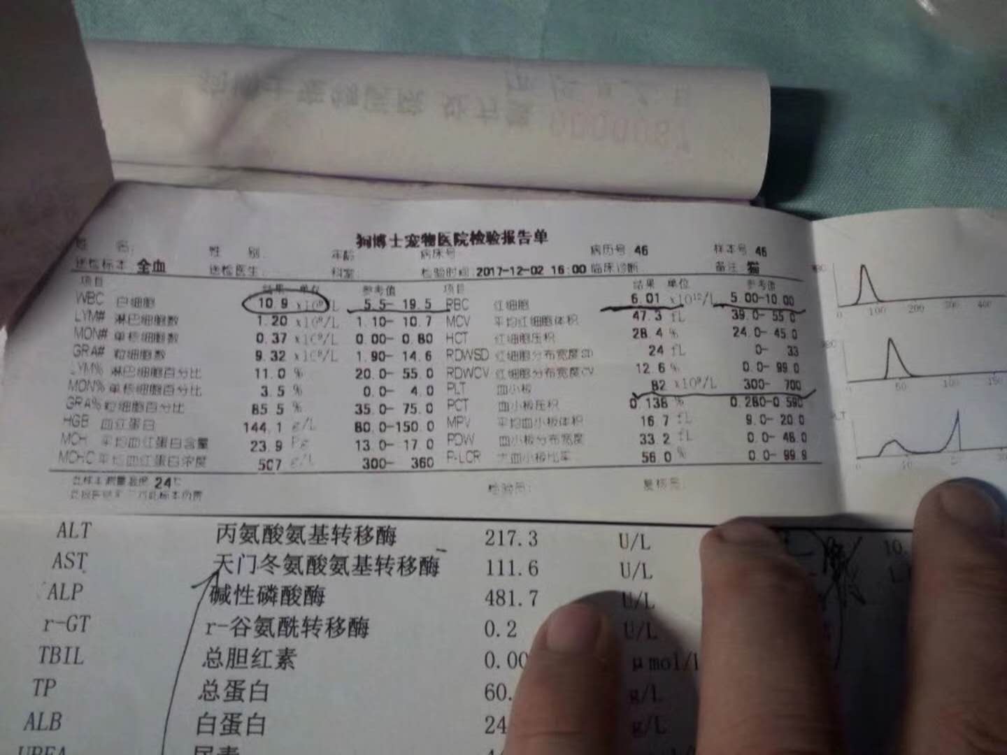 微信图片_20180106150004.jpg