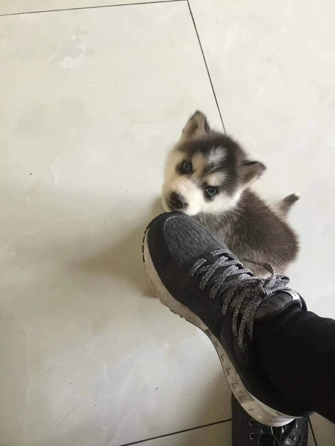微信图片_20180106153625.jpg
