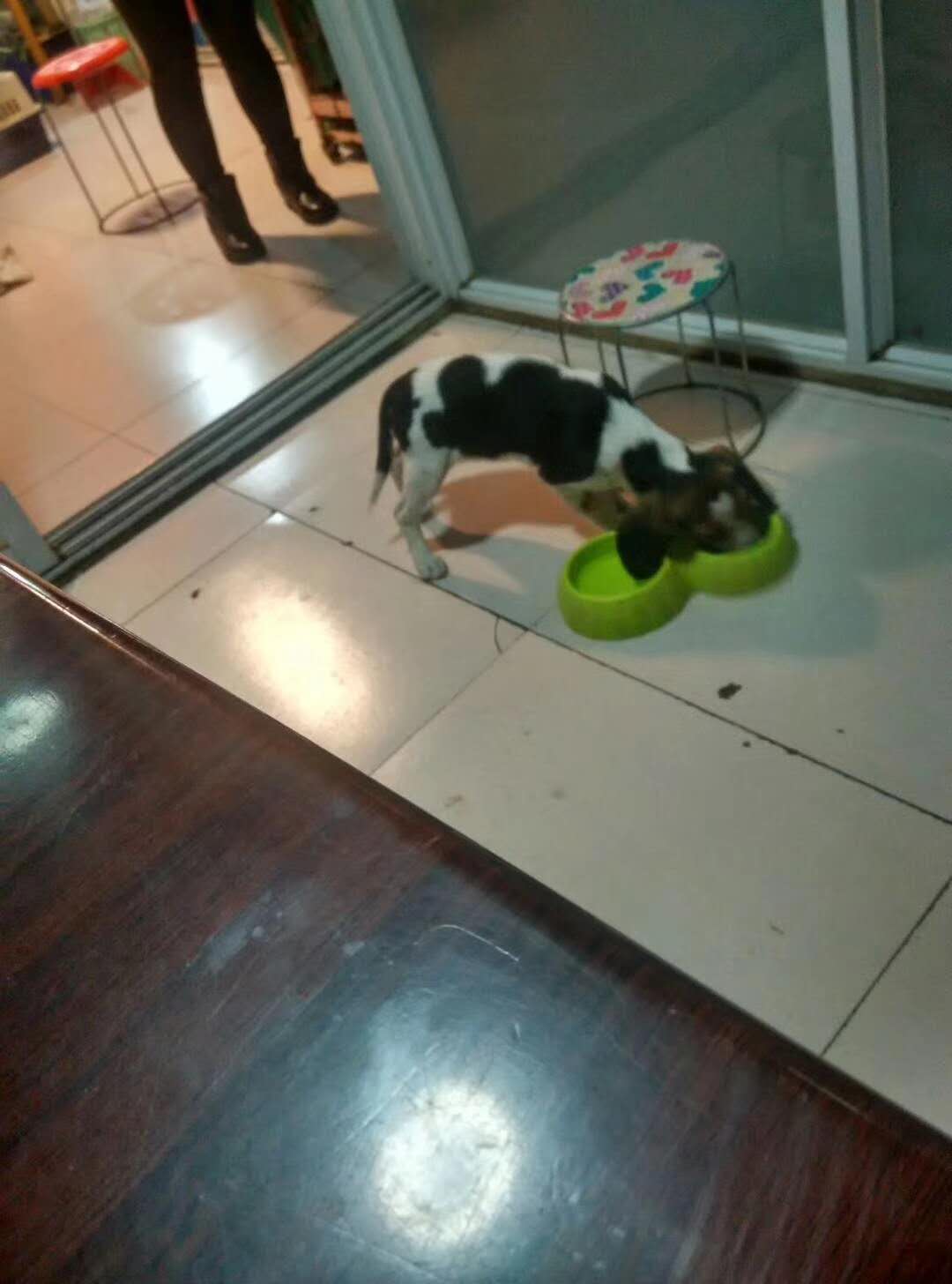 微信图片_20180107141501.jpg