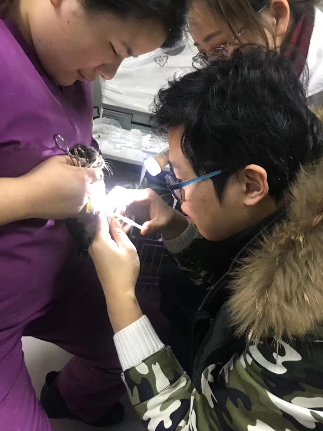 微信图片_20180107142826.jpg