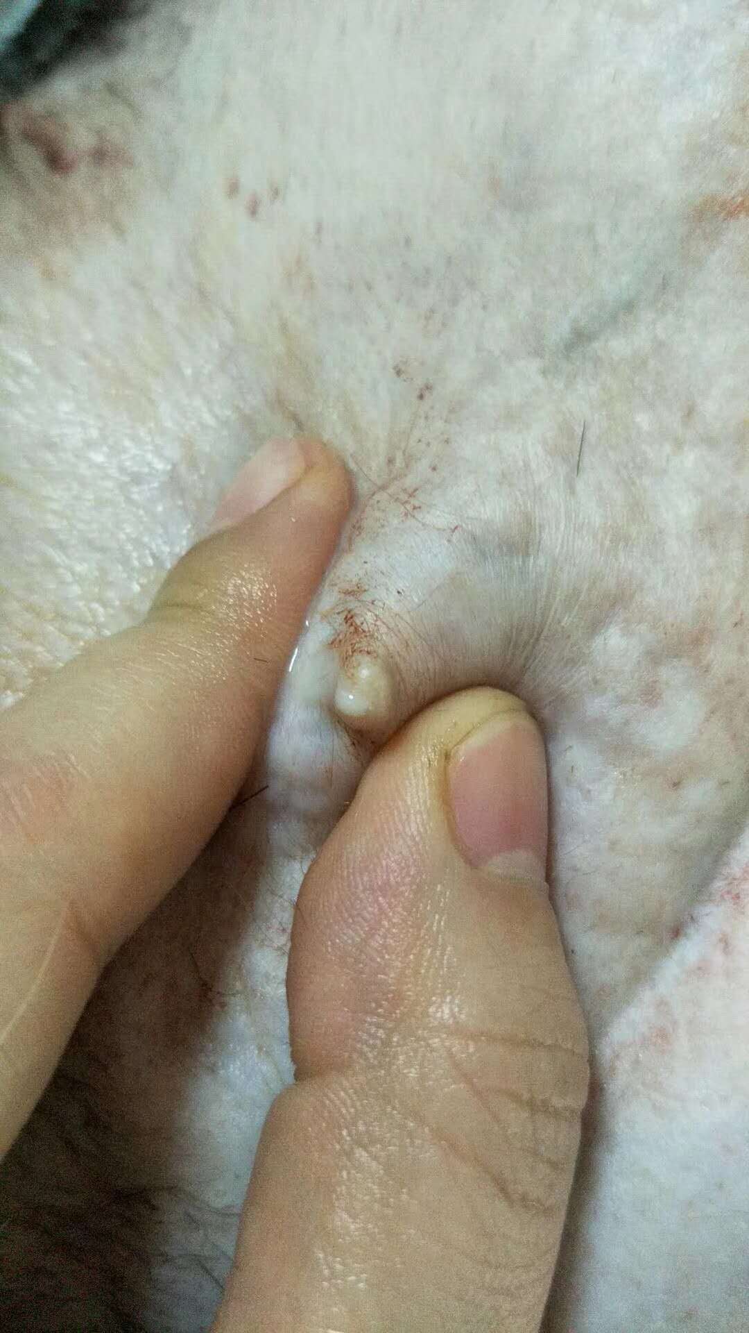 微信图片_20180107145932.jpg
