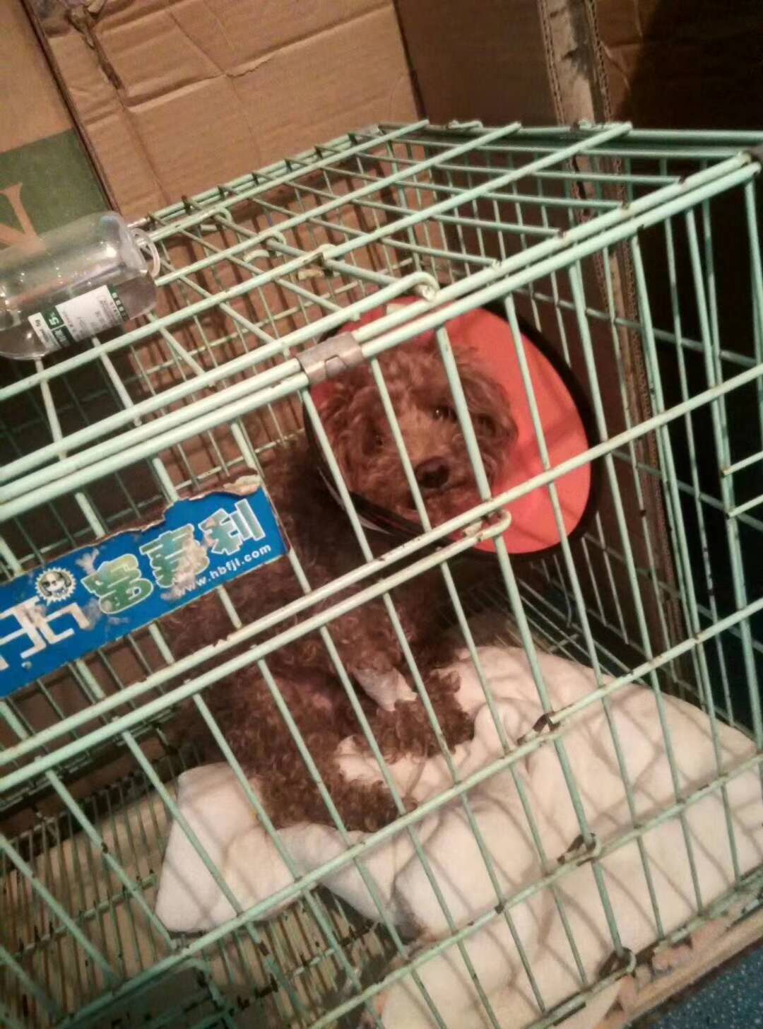 微信图片_20180109181130.jpg