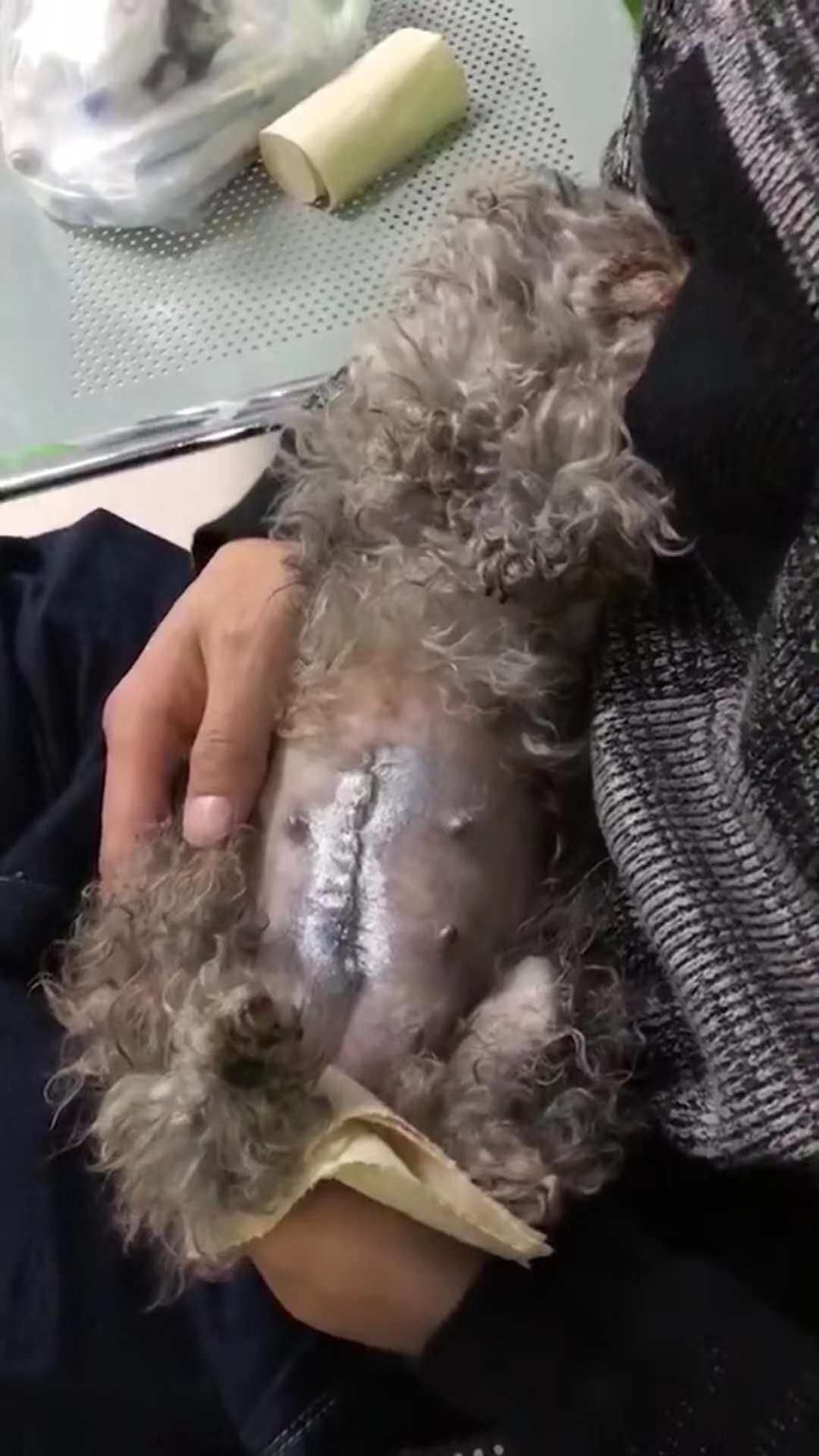 微信图片_20180109181947.jpg