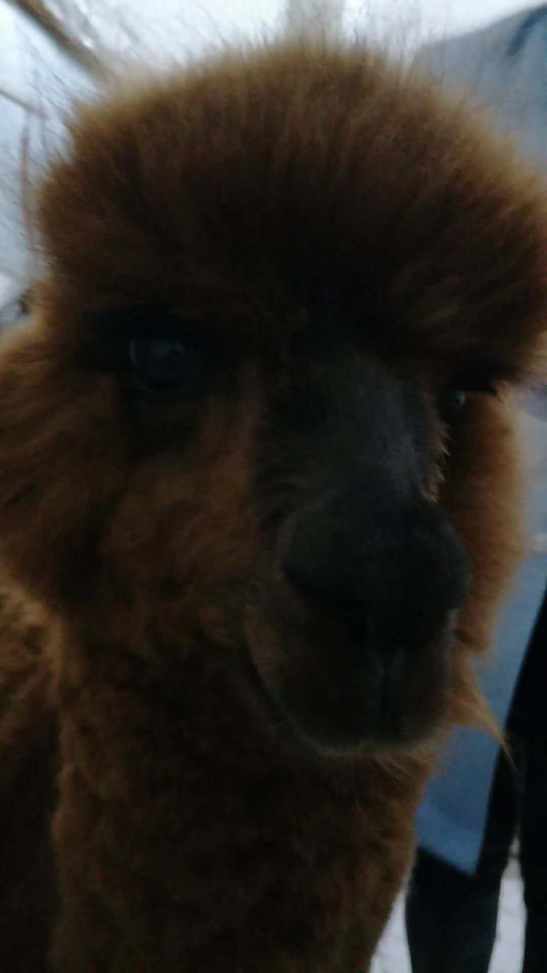 微信图片_20180110115926.jpg