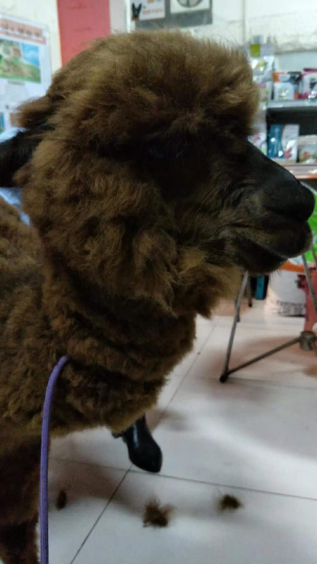 微信图片_20180110115927.jpg