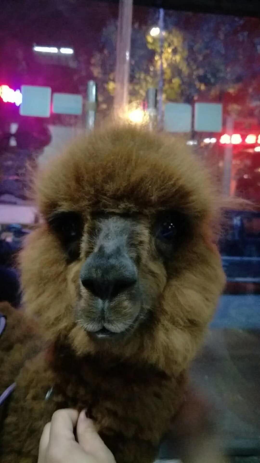 微信图片_20180110115933.jpg