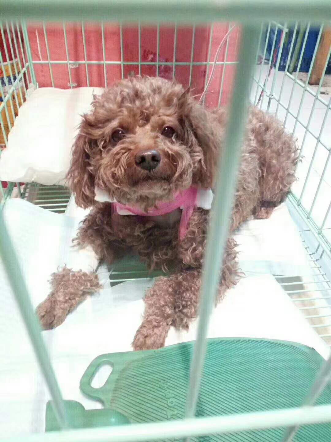微信图片_20180110121046.jpg
