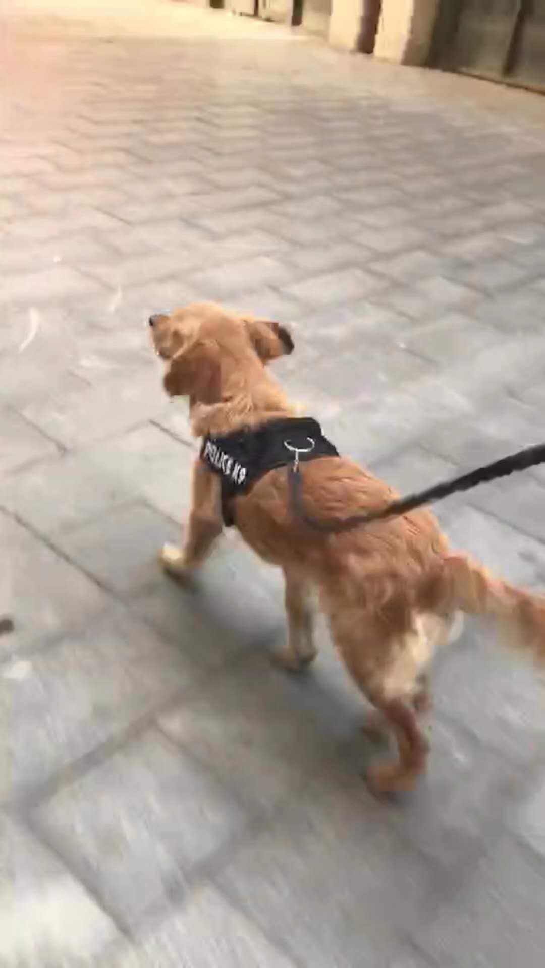 微信图片_20180110122308.jpg