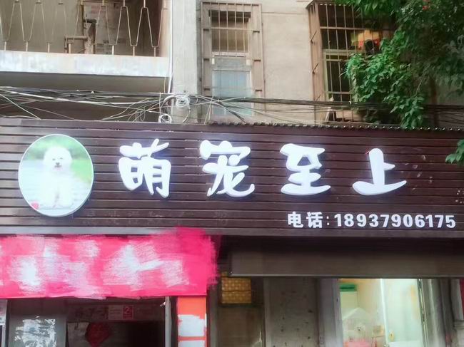 洛阳学员毕业后创业开店