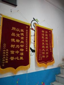 锦旗